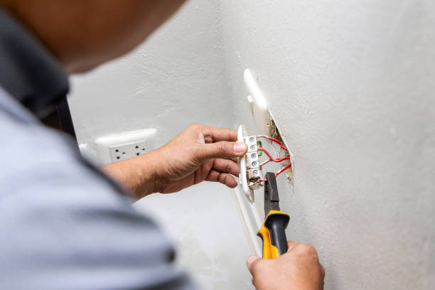 Best Electrical Rewiring Services  in Luna Pier, MI